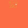 Barnstaple Orange Thumbnail